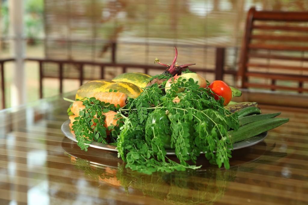 The Health Village Alwaye Exteriér fotografie